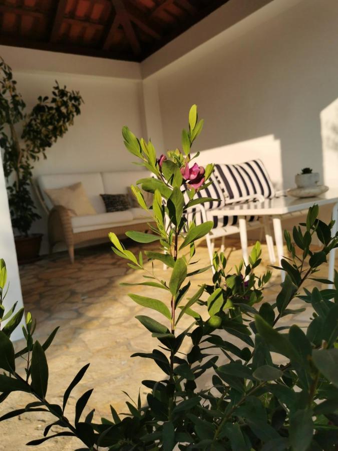 Sunset Apartment Orasac Buitenkant foto